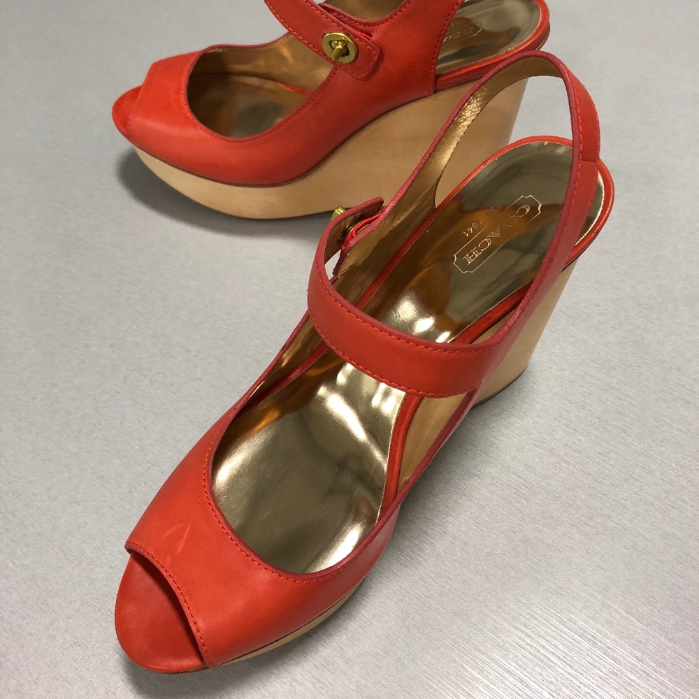 Coach platform wedges